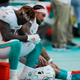 Illustration for article titled The Dolphins Aren't Enjoying This Fiasco Any More Than You Are